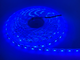 Светодиодная лента 1 м MTK SMD5050 60 LED 12В IP65 синий (MTK-300B-F-5050-12) - изображение 2