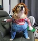 Костюм для маленьких собак до 4.5кг Розмір S Good Dogs Red Blue - зображення 6