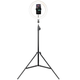 Набір Трипод + Кольцева LED лампа d26cм h2,1м Havit PRO HV-ST7012 - изображение 1