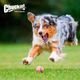 Іграшка для собак Chuckit! Ultra Ball Toy for Dogs - Medium 6 см (CHUC170015) - зображення 3