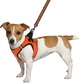 Шлея для собак Barksi Mesh Vest 2XS обхват шиї - 26 см, обхват грудей - 29 см Помаранчева (83204) (2007033026166) - зображення 4