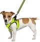 Шлея для собак Barksi Mesh Vest XS обхват шеи - 29 см, обхват груди - 34 см Лимонная (83305) (2007033026494) - изображение 4