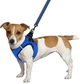 Шлея для собак Barksi Mesh Vest M обхват шеи - 42 см, обхват груди - 47 см Синяя (83502) (2007033026609) - изображение 4