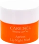 Ночная маска для губ Carenel Apricot Lip Night Mask с абрикосом 5 г (8809584963464) - изображение 1