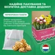Лілія Strawberry Event Азіатський гібрид Двоколірний Цибулини Florium (203173) - зображення 4