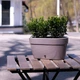 Горшок с автополивом Santino ASTI Window box 5,2 л антрацит-белый (AST300ANT/WHT) - изображение 2