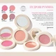 Пудровые румяна Farmasi 04 Pink Lily 4,5 г - изображение 2