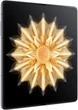 Мобільний телефон Honor Magic V2 5G 16/512GB Silk Black (VER-AN10) - зображення 5