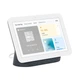 Хаб - центральная консоль - модуль Google Nest Hub 2 поколение (GA01892-EU) - изображение 2