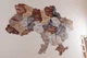 Дерев'яний пазл PuzzleOK Мапа України р. 160х110 см. - зображення 10