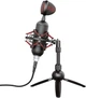 Мікрофон для ПК / для стрімінгу, подкастів Trust GXT 244 Buzz USB Streaming Microphone (23466) - зображення 2