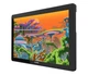 Монітор-планшет Huion Kamvas 22 Plus - изображение 2