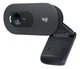 Веб-камера Logitech HD Webcam C505 (960-001364) - изображение 1