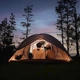 Двомісний намет Naturehike CNK2300ZP024, коричневий - зображення 2