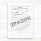 Журнал виконання робіт із занурення (забивки) паль (Офсет, 48стор., прошн) - изображение 2
