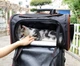 Сумка переноска для кошек и собак CosmoPet CP-05 78x47x29 см Черный/красный - изображение 8