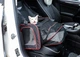 Сумка переноска для кошек и собак CosmoPet CP-05 78x47x29 см Черный/красный - изображение 9