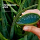 Шампунь Herbal Essences Алое Зволожуючий 350 мл (8700216211048) - изображение 2