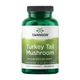 Turkey Tail Mushroom 500mg - 120 vcaps трутовик різнокольоровий для підтримки імунітету, мікрофлори та природного захисту організму - изображение 1