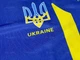 Форма футбольная детская с гербом Украины синяя 152 (10 лет) - изображение 5