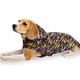 Дощовик для Собак Barksi Textile з Капюшоном Гравітація XS (17528725) - зображення 1