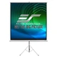 Проекционный экран ELITE SCREENS T119NWS1 мобильный тренога 119" 213.4x213.4см 1:1 - изображение 4