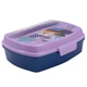 Ланч-бокс для девочки с ложкой и вилкой Stor Frozen (74209) - изображение 1