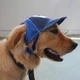 Кепка для собак "BUDDY" Blue Size S - изображение 5