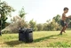 Комплект Зарядная станция Segway Cube 1000 / 2200 Вт / 1024 Вт⋅ч / LiFePO4 + Солнечная панель 250 Вт (AA.13.04.02.0004-SET250) - изображение 11