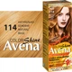 Стойкая крем-краска для волос Avena Color Shine 114 Натурально-бежевый 138 мл (4823115502421) - изображение 2