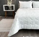Силиконовое одеяло 4 сезона ArCloud. 4 Seasons White-200х220 - изображение 2