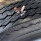 Ремкомплект для безкамерки Slime Tubeless Tire Plug Drill Bit Kit (716281511653) - зображення 9