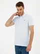 Поло довге чоловіче Pierre Cardin G021GL011-000-1954212 2XL Світло-блакитне (868385744905) - зображення 4