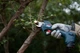Bosch Секатор Pro Pruner акумуляторний, 12В, 3.0 Ач, до 25мм, 1кг, сет. 2 ак. - изображение 2