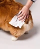 Біорозкладні вологі серветки для собак Natural Dog Company Grooming Wipes розмір XL 50 шт - зображення 4