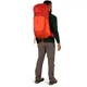Туристический рюкзак Osprey Talon Pro 40 Mars Orange S/M (009.3531) - изображение 5