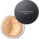 Пудра для обличчя Bareminerals Original SPF 15 07-Golden Ivory 8 г (0098132494651) - зображення 1