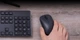 Мышка Xiaomi Mouse Lite BHR6099GL черная - изображение 8