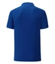 Поло Fruit of the Loom Iconic Polo M CB Синий Кобальт (0630440CBM) - изображение 2
