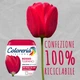 Краска для одежды и текстиля COLORERIA ITALIANA Rosso tulipano красная 350г - изображение 1