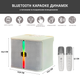 Портативна караоке-система Inspire YS-232 з 2 мікрофонами White - зображення 5