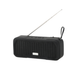 Портативная акустика BIVA SP-03 Bluetooth + FM Radio Speaker Black - изображение 1