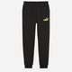 Підліткові спортивні штани на флісі для хлопчика Puma Ess+ 2 Col Logo Pants Fl Cl 58698859 140 см Чорні (4099685595075) - зображення 1