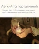 Кемпінговий ліхтар з універсальним кріплення Nitecore Bubble, Languid Lavender (100Лм, 3*ААА) - зображення 5