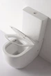 Унитаз-компакт DUSEL ARTI DTPT10210430R с бачком и сиденьем Soft Close дюропласт - изображение 2