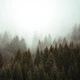 Виниловый фотофон 120x120см, Frontlit 450 г/м2 №551131 - изображение 1
