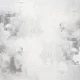 Виниловый фотофон 140x140см, Frontlit 450 г/м2 №551006 - изображение 1