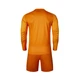 Комплект вратарской формы Kelme ZAMORA II оранжевый д/р 3801286.9807 Kelme 3XL - изображение 4