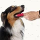 Зубна щітка на палець Beaphar Finger Toothbrush, 2 шт. - зображення 2