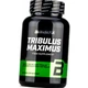 Трибулус Бустер тестостерона BioTech Tribulus Maximus 90 таб - изображение 3